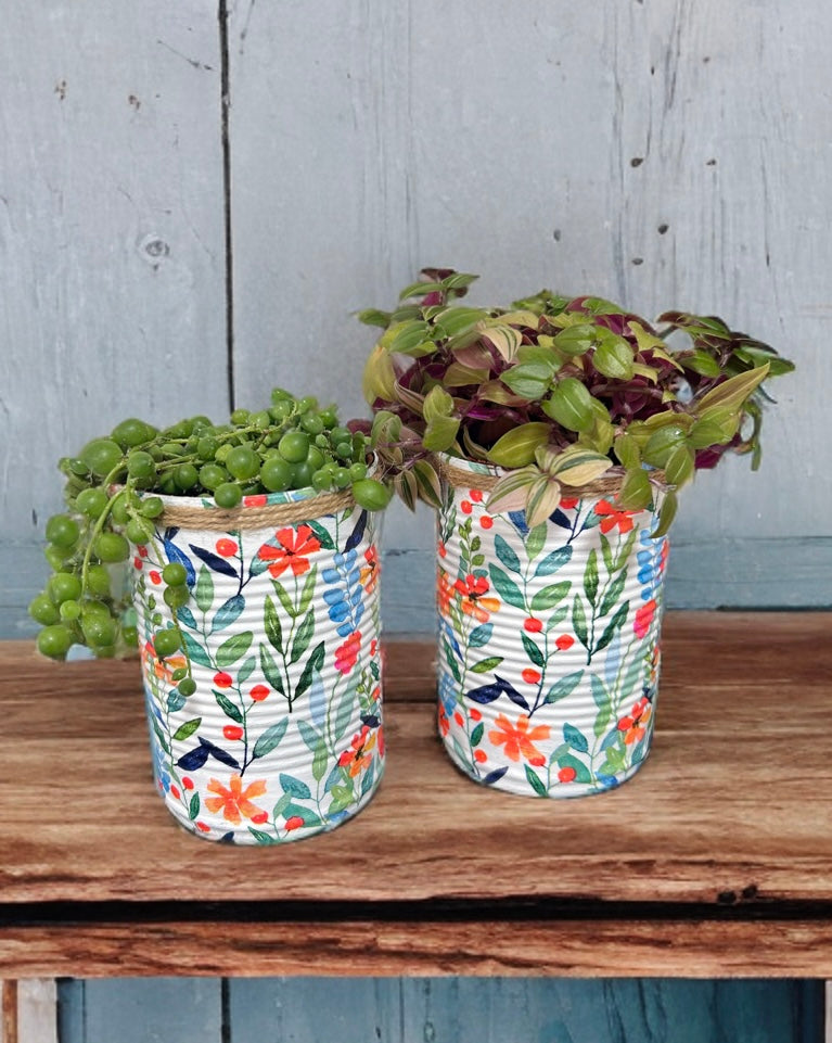 Wildflower Berry Bloom Grow Your Own Herb Garden Gift Set