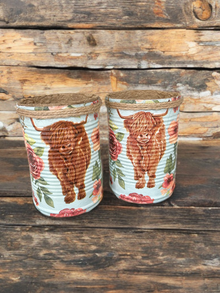 Highland Cow Grow Your Own Herb Garden Gift Set