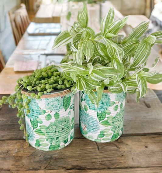 Green Hydrangea Indoor House Plant Pot - 10cm