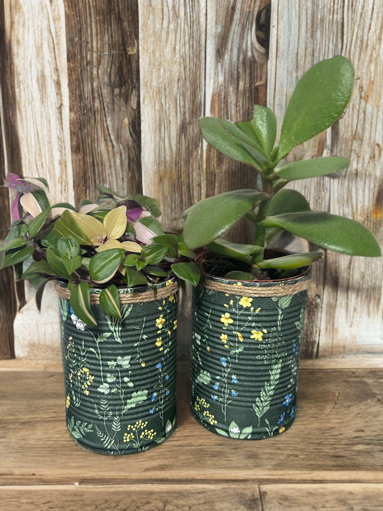 Medieval Floral Garden Grow Your Own Herb Garden Gift Set