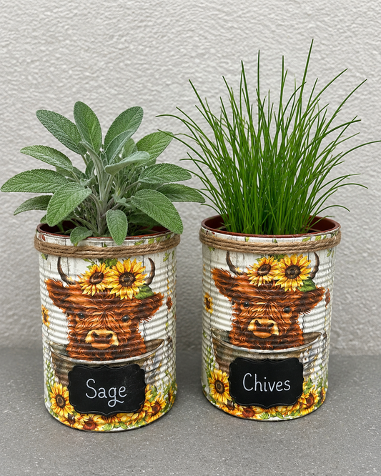 Highland Kuh - DIY Kräutergarten Geschenkset