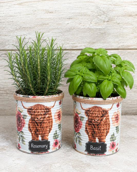 Highland Cow Kräutergarten-Geschenkset zum Selberziehen