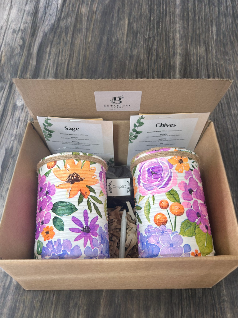 Lilac & Orange Cottage Bloom Grow Your Own Herb Garden Gift Set