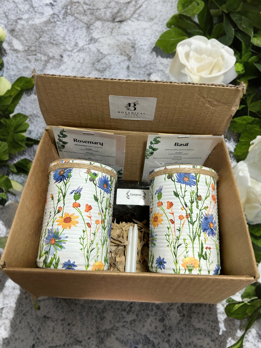 Yellow & Blue Watercolour Daisy Grow Your Own Herb Garden Gift Set