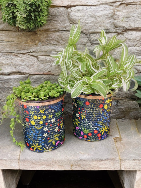 Black Medieval Garden Indoor House Plant Pot - 10cm