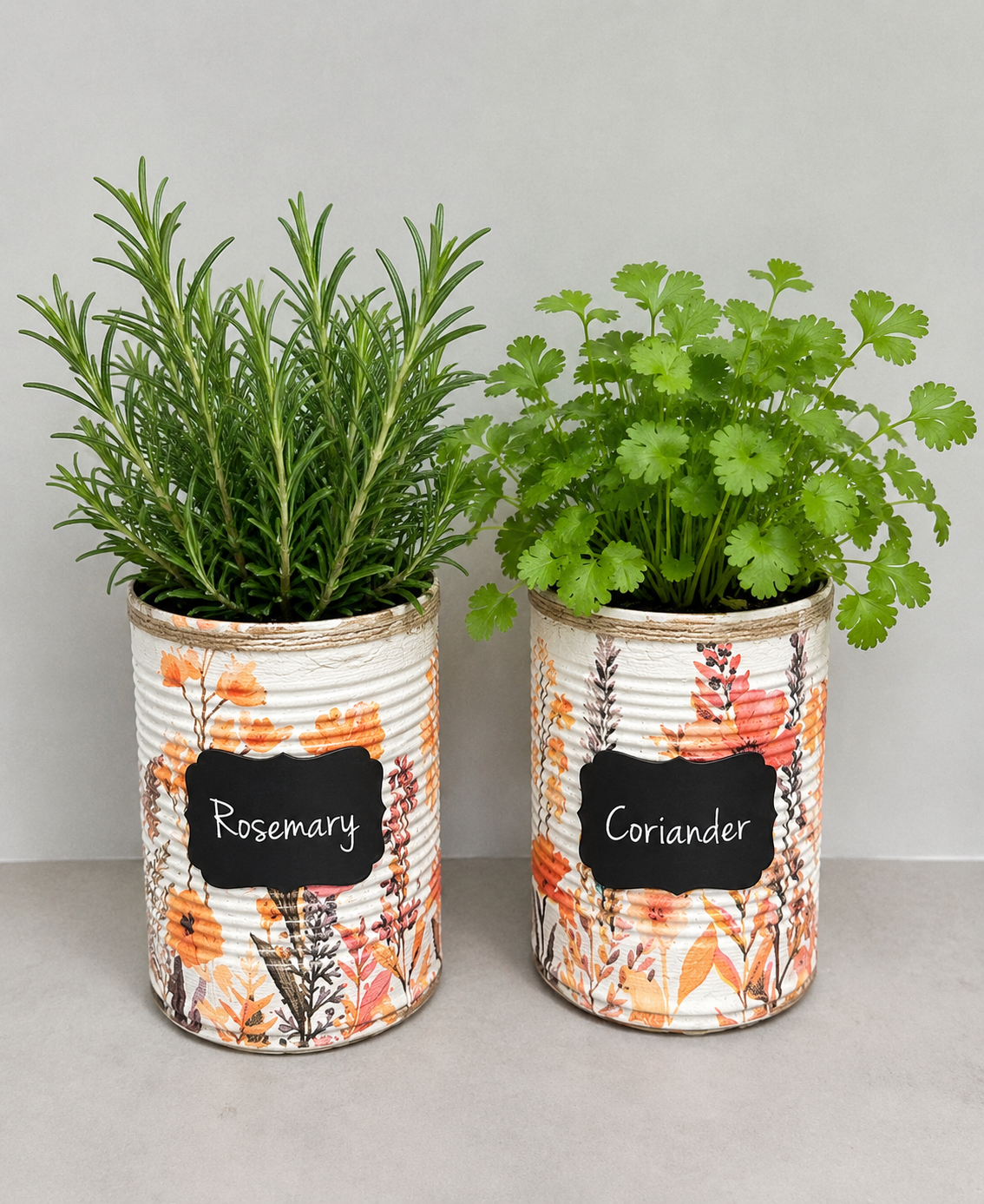 Watercolour Floral Peach Grow Your Own Herb Garden Gift Set