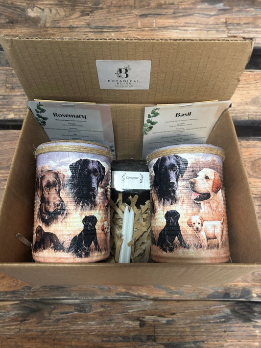 Labrador Puppy Dog Grow Your Own Herbs Gift Set