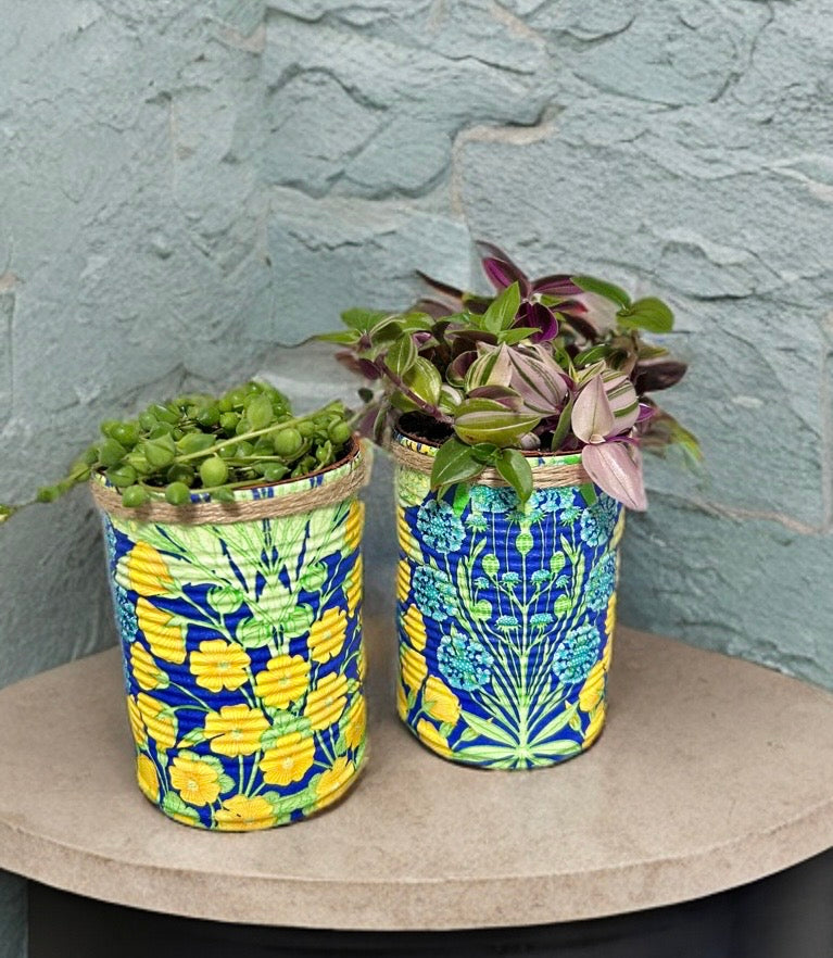 Gelb & Blau Blumen Grow Your Own Kräuter-Garten-Geschenkset