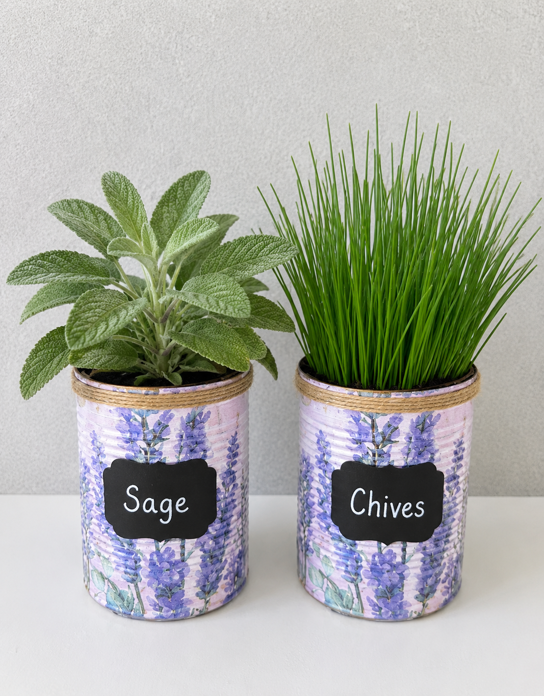 Lavender Floral Grow Your Own Herb Garden Gift Set