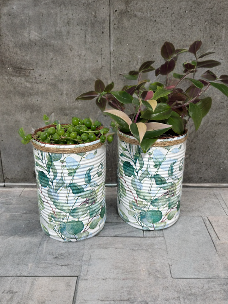 Eucalyptus Floral Grow Your Own Herb Garden Gift Set