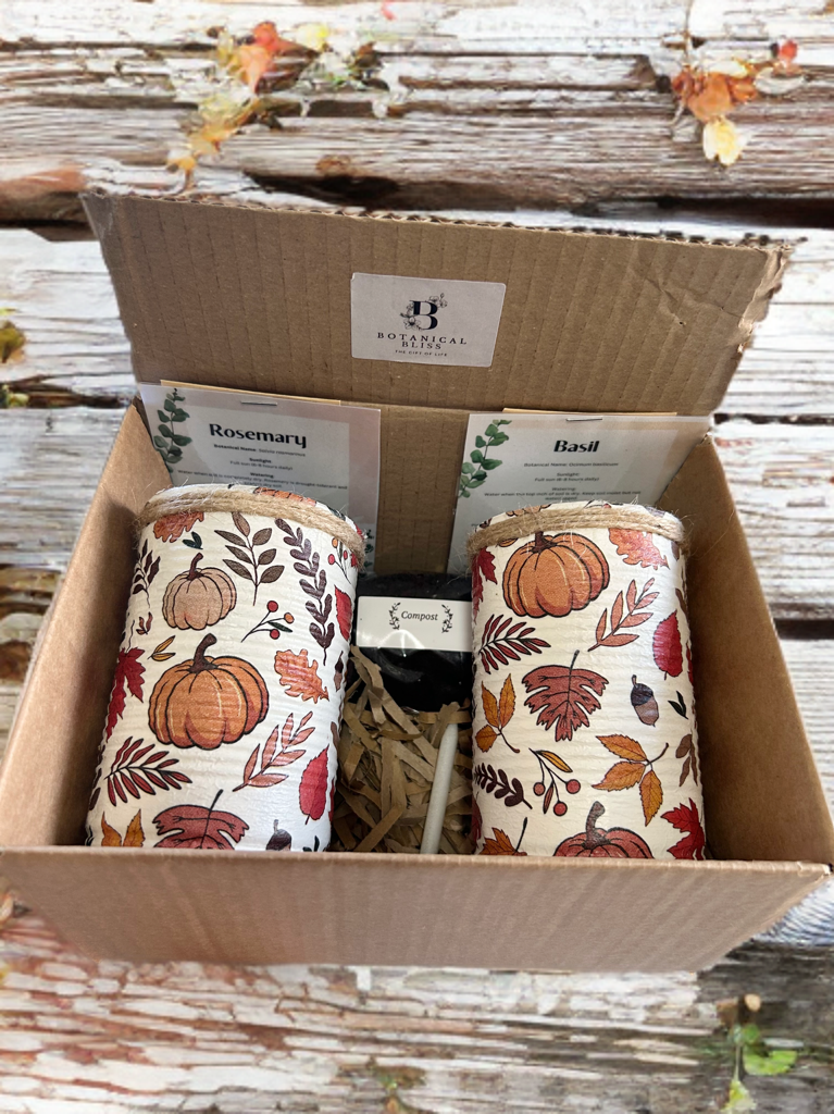 Autumn Pumpkin Grow Your Own Herb Garden Gift Set