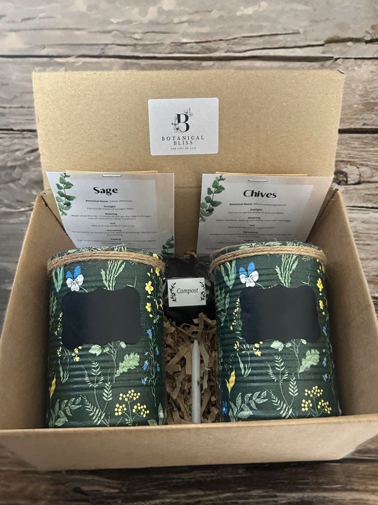 Medieval Floral Garden Grow Your Own Herb Garden Gift Set