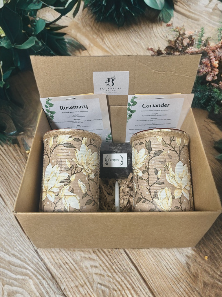 Cream & Mocha Grow Your Own Herb Garden Gift Set