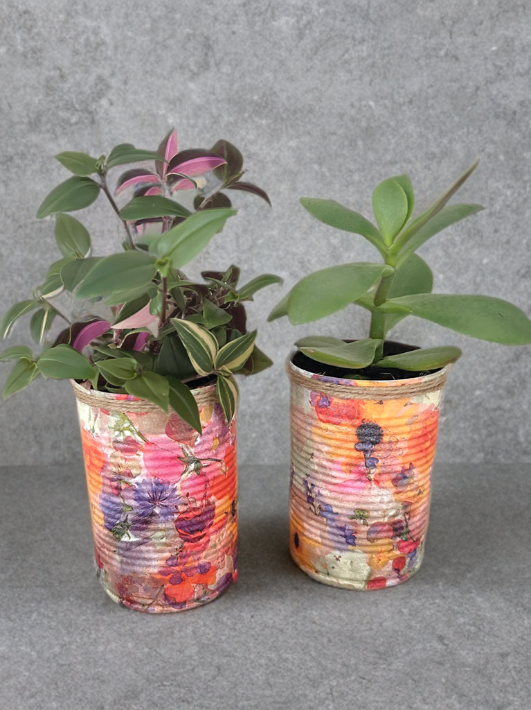 Sunset Paradise Floral Grow Your Own Herb Garden Gift Set