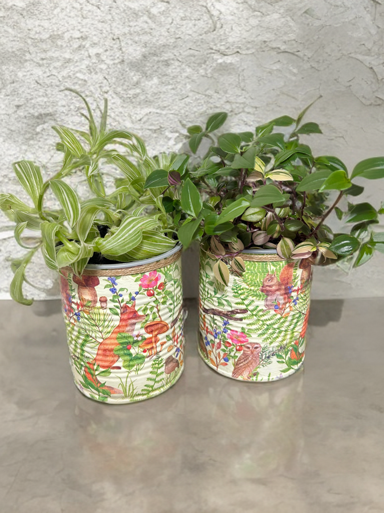 Sage Green Woodland Indoor Plant Pot - 10cm