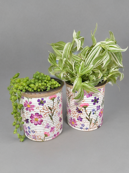 Lilac Wildflower Indoor House Plant Pot - 10cm