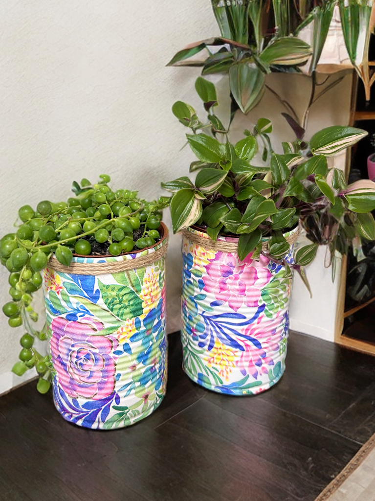 Pastel Bloom Grow Your Own Herbs Gift Set