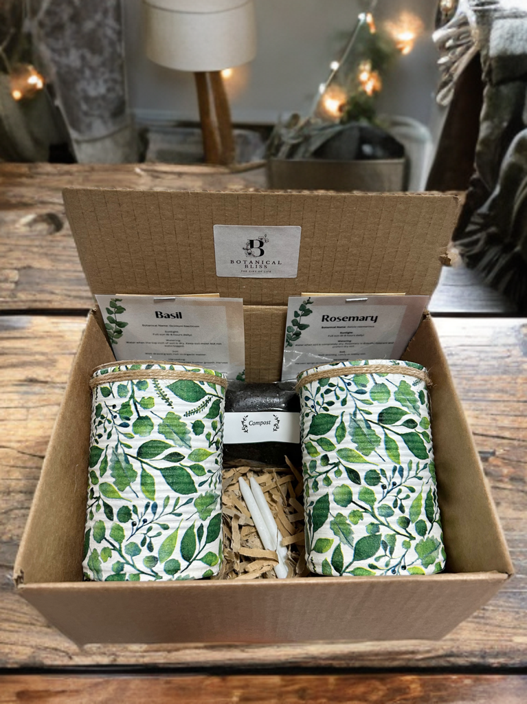 Nature Eucalyptus Leaf Grow Your Own Gift Set