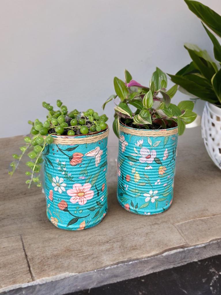 Teal Floral Japanese Garden Grow Your Own Gift Set