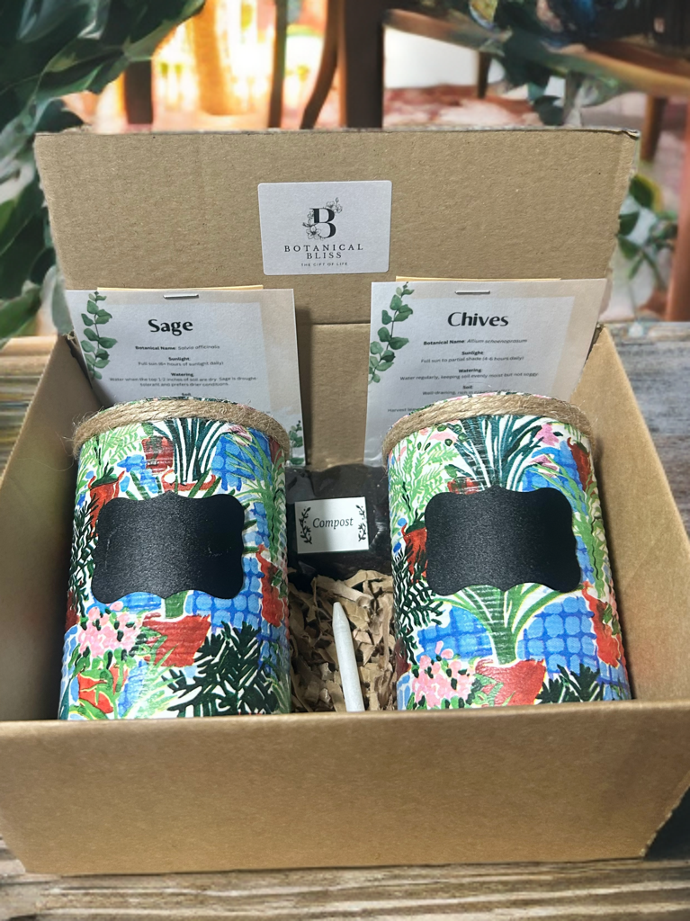 Greenhouse Plant Grow Your Own Herb Garden Gift Set