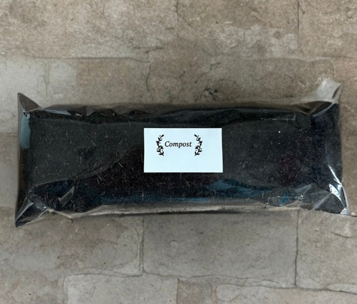 Leopard Print Grow Your Own Herb Garden Gift Set