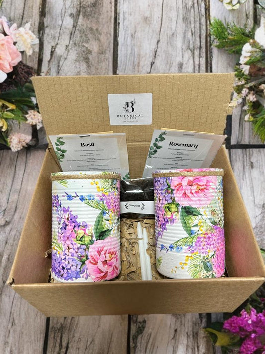 Wisteria Lilac & Pink Grow Your Own Gift Set