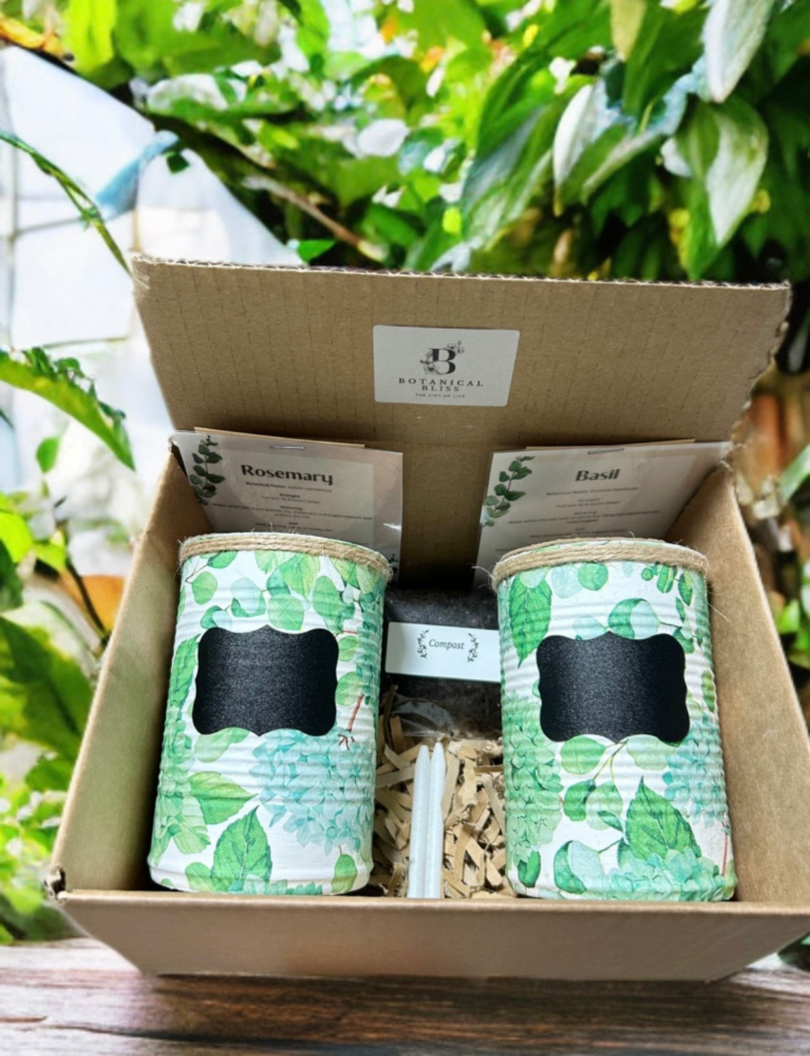 Green Hydrangea Floral Grow Your Own Herb Garden Gift Set