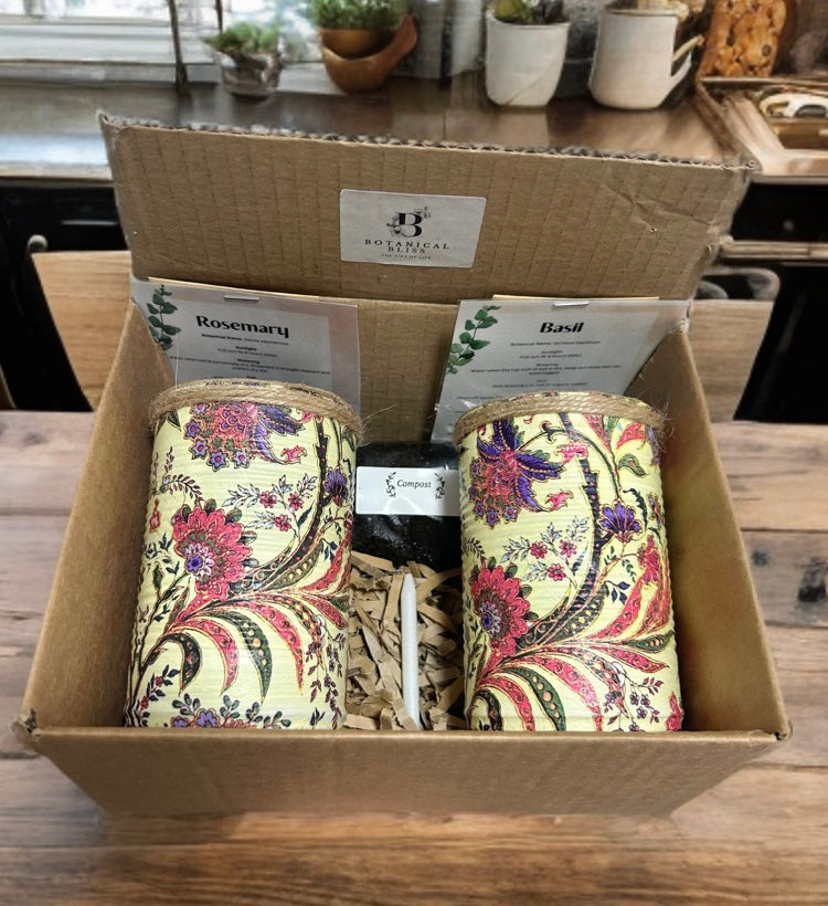 Cream Oriental Floral Grow Your Own Herb Gift Set