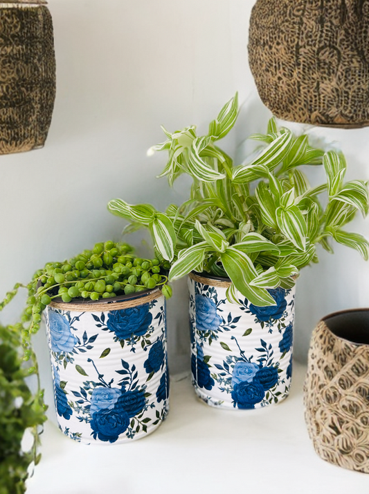 Navy Rose & White Indoor House Plant Pot - 10cm