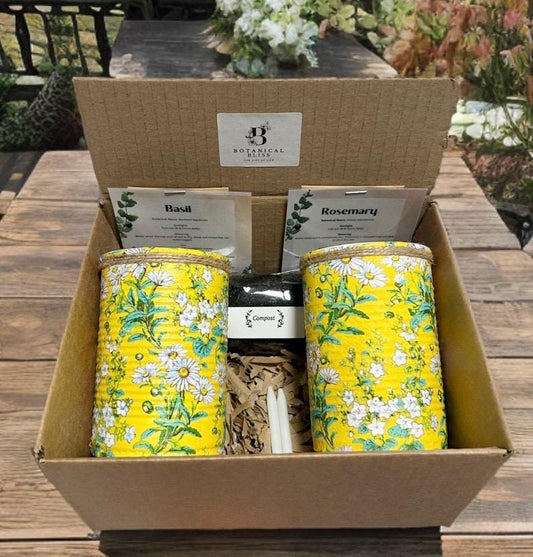 Yellow Daisy Ditsy Grow Your Own Herbs Gift Set