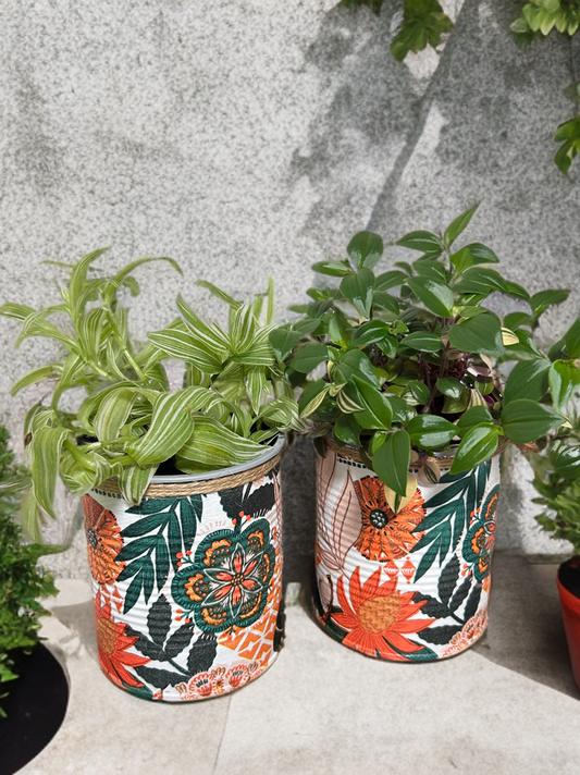 Burnt Orange & Dark Green Geometrical Floral Plant Pot - 10cm