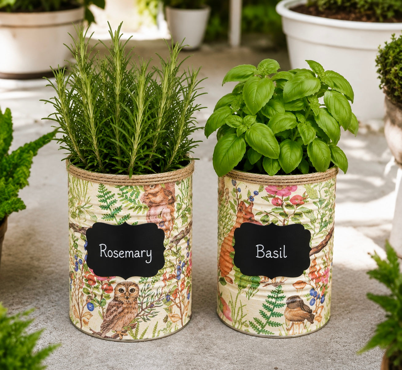Salbeigrünes Waldtier Kräuter-Geschenkset zum Selberziehen
