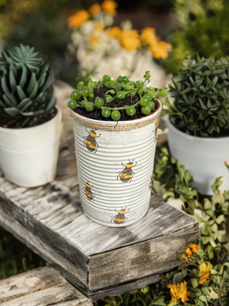 Honey Bee Rustic Grow Your Own Gift Set