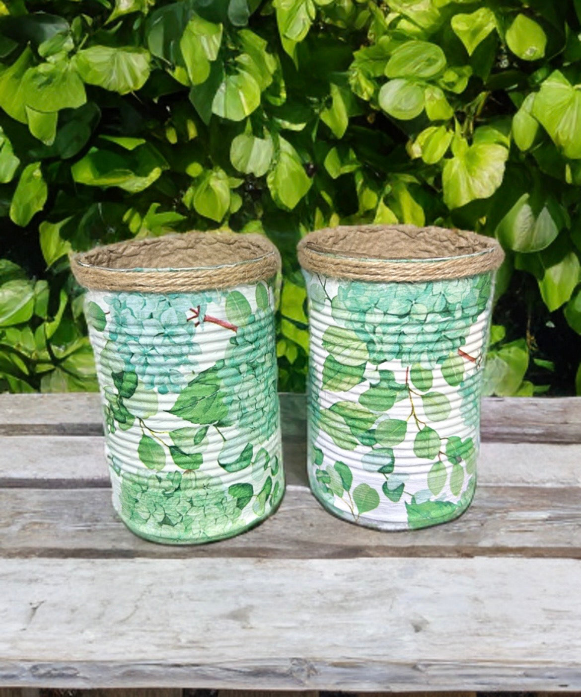 Green Hydrangea Floral Grow Your Own Herb Garden Gift Set