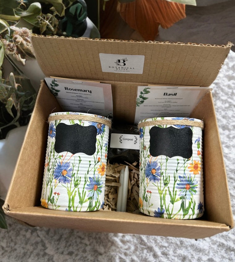 Yellow & Blue Watercolour Daisy Grow Your Own Herb Garden Gift Set