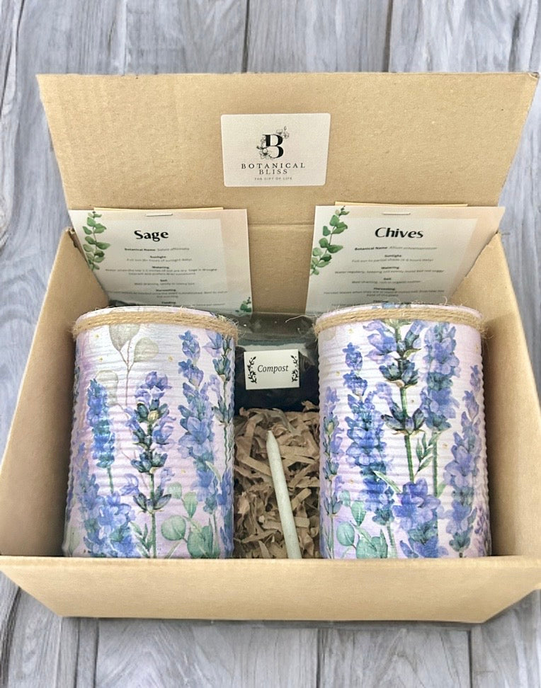 Lavender Floral Grow Your Own Herb Garden Gift Set
