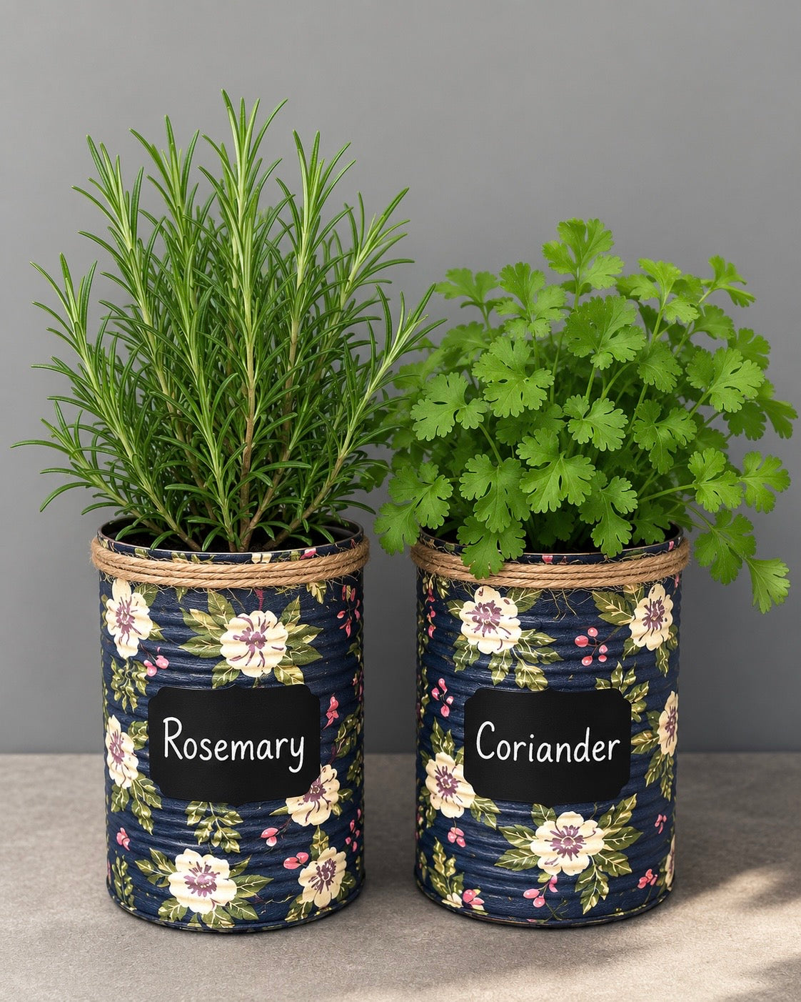 Navy & Cream Floral Grow Your Own Herb Garden Gift Set
