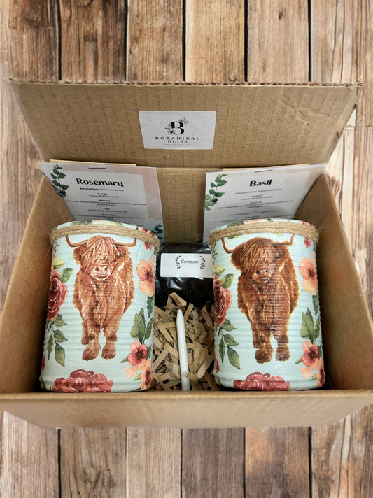 Highland Cow Grow Your Own Herb Garden Gift Set