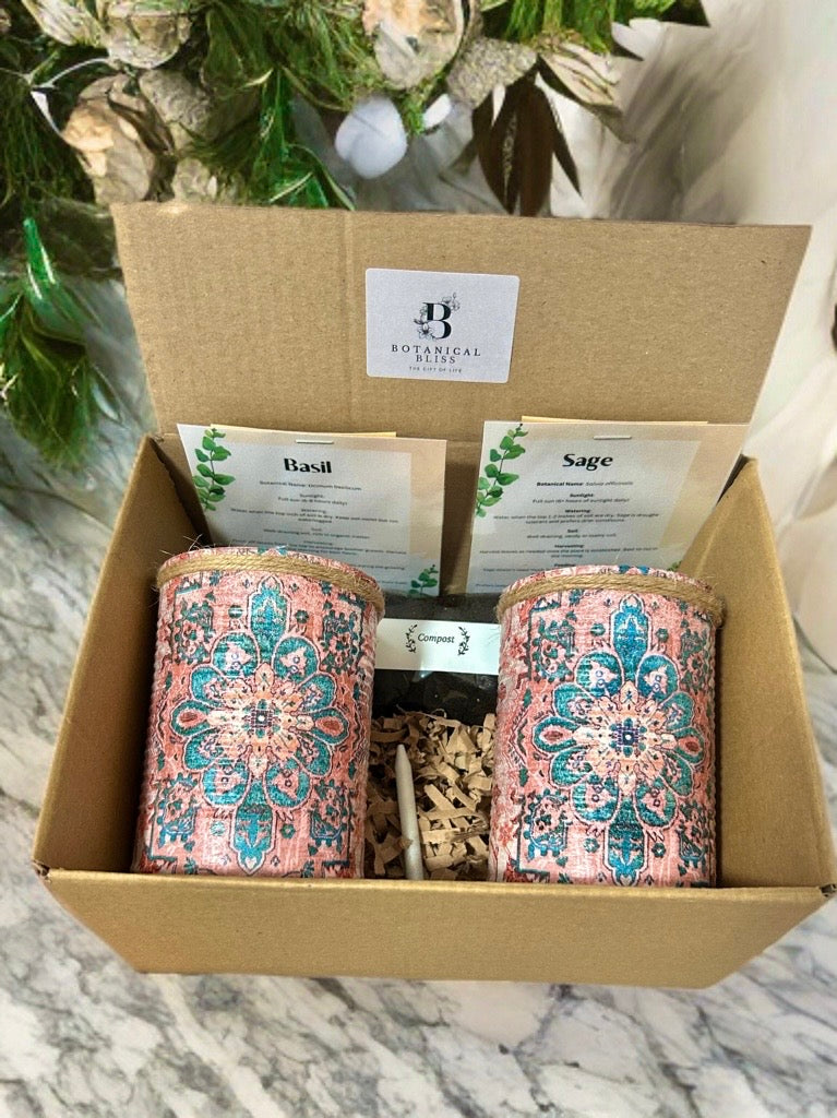 Boho Mandela Grow Your Own Herb Garden Gift Set