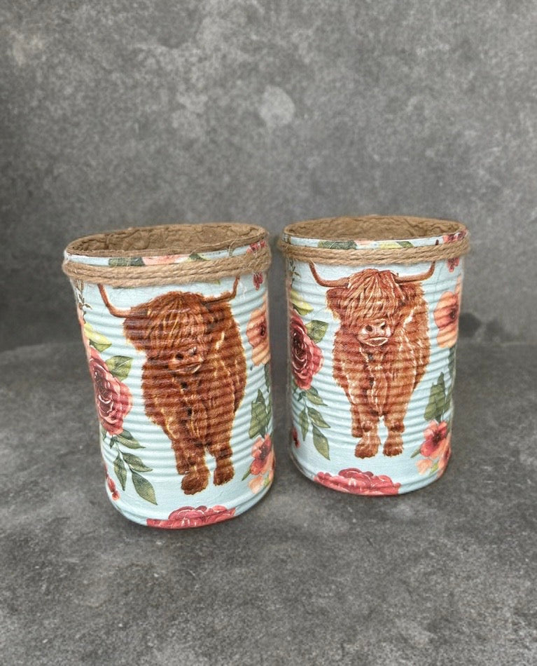 Highland Cow Kräutergarten-Geschenkset zum Selberziehen