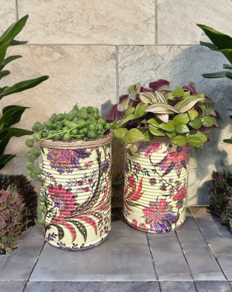 Cream Oriental Floral Grow Your Own Herb Gift Set