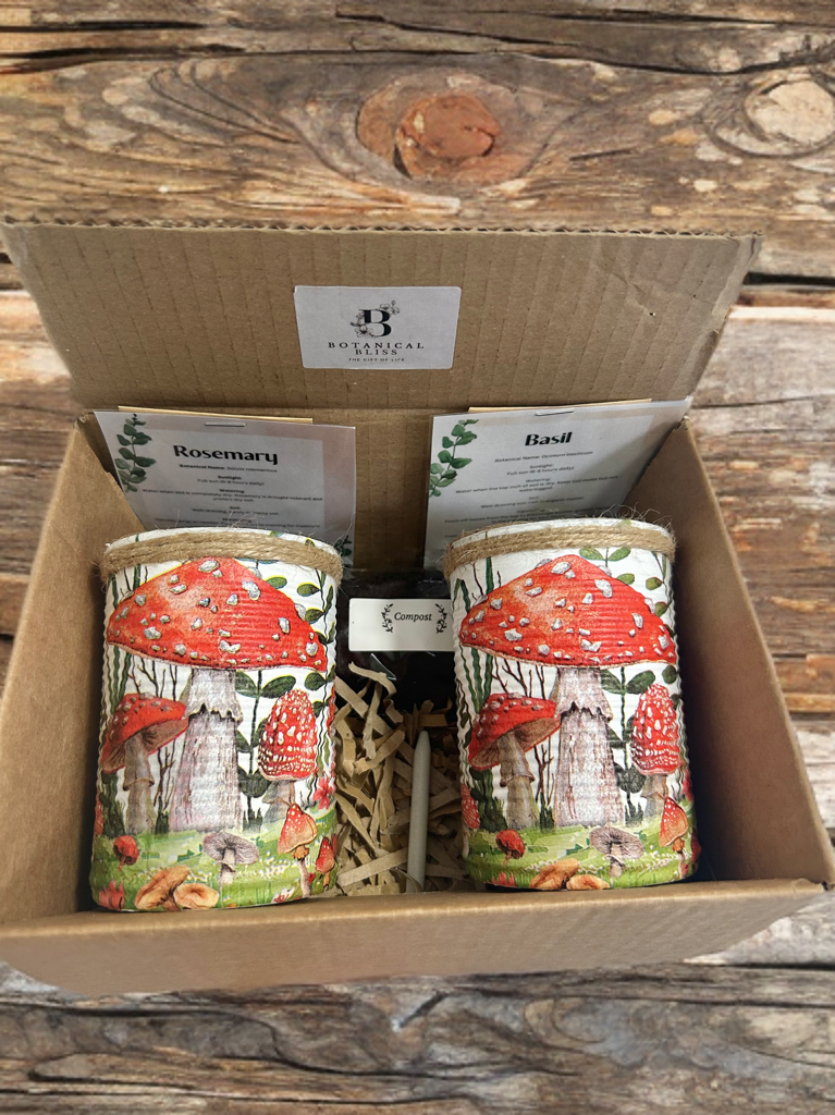 Whimsical Toadstool Grow Your Own Herb Garden Gift Set