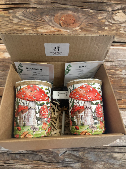 Whimsical Toadstool Grow Your Own Herb Garden Gift Set