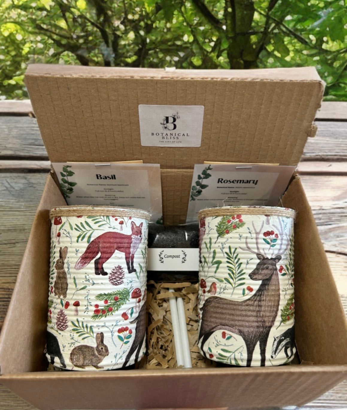 Woodland Animal Grow Your Own Herb Garden Gift Set
