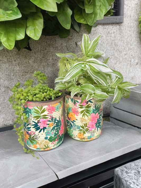 Sage Green Tropical Indoor House Plant Pot - 10cm