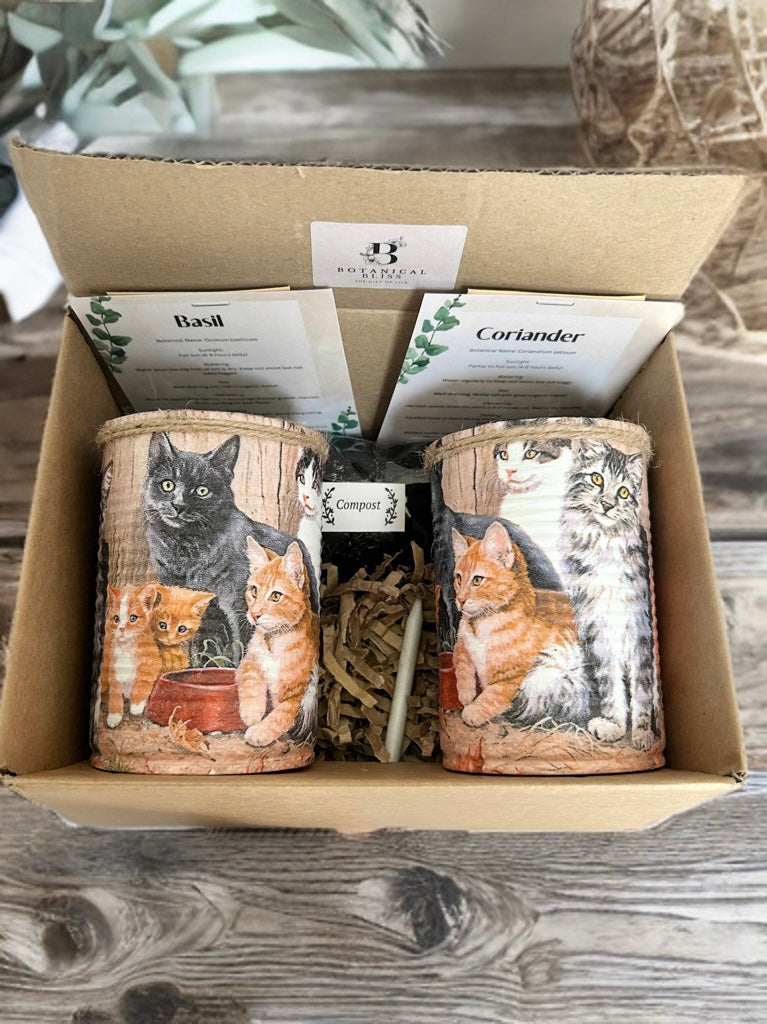 Tabby Cat & Kitten Grow Your Own Herb Garden Gift Set