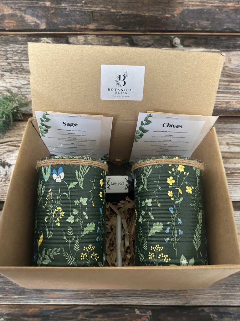 Medieval Floral Garden Grow Your Own Herb Garden Gift Set