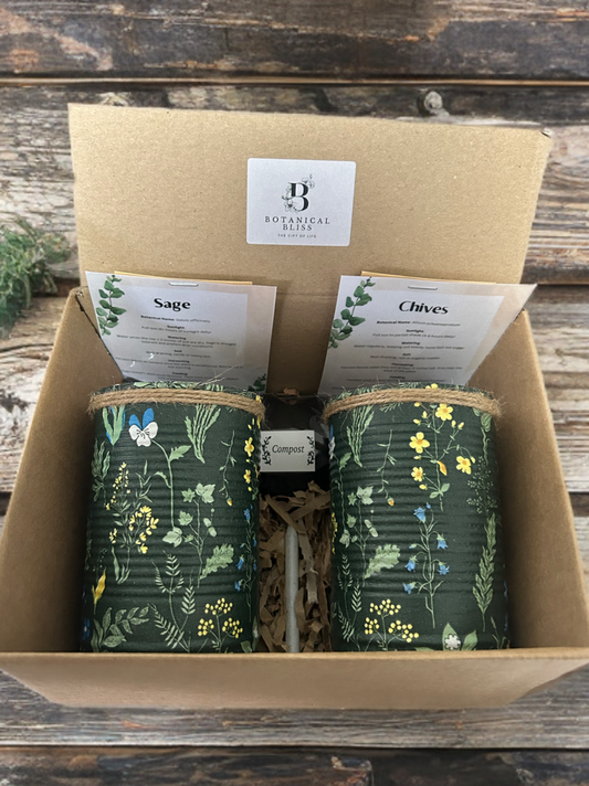 Medieval Floral Garden Grow Your Own Herb Garden Gift Set