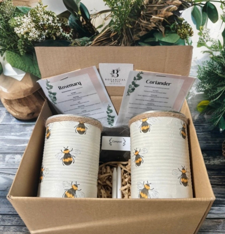Honey Bee Rustic Grow Your Own Gift Set