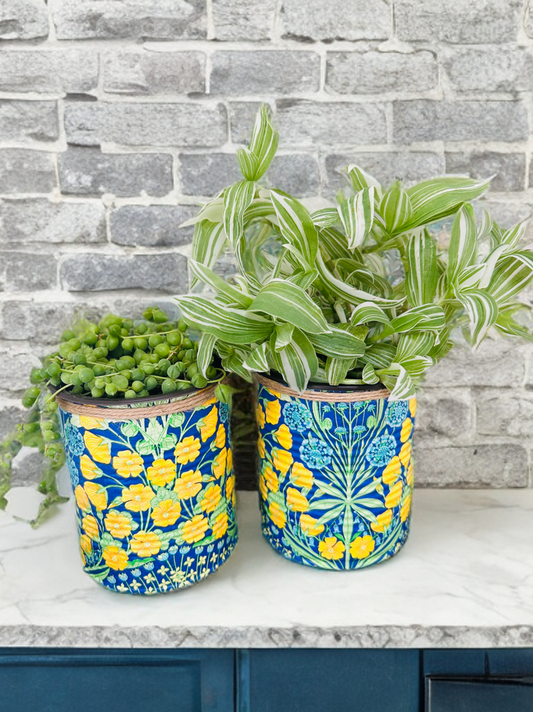 Blue & Yellow Botanical Indoor House Plant Pot - 10cm